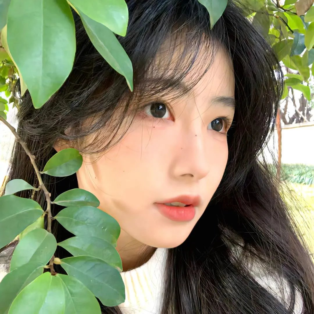 情剑